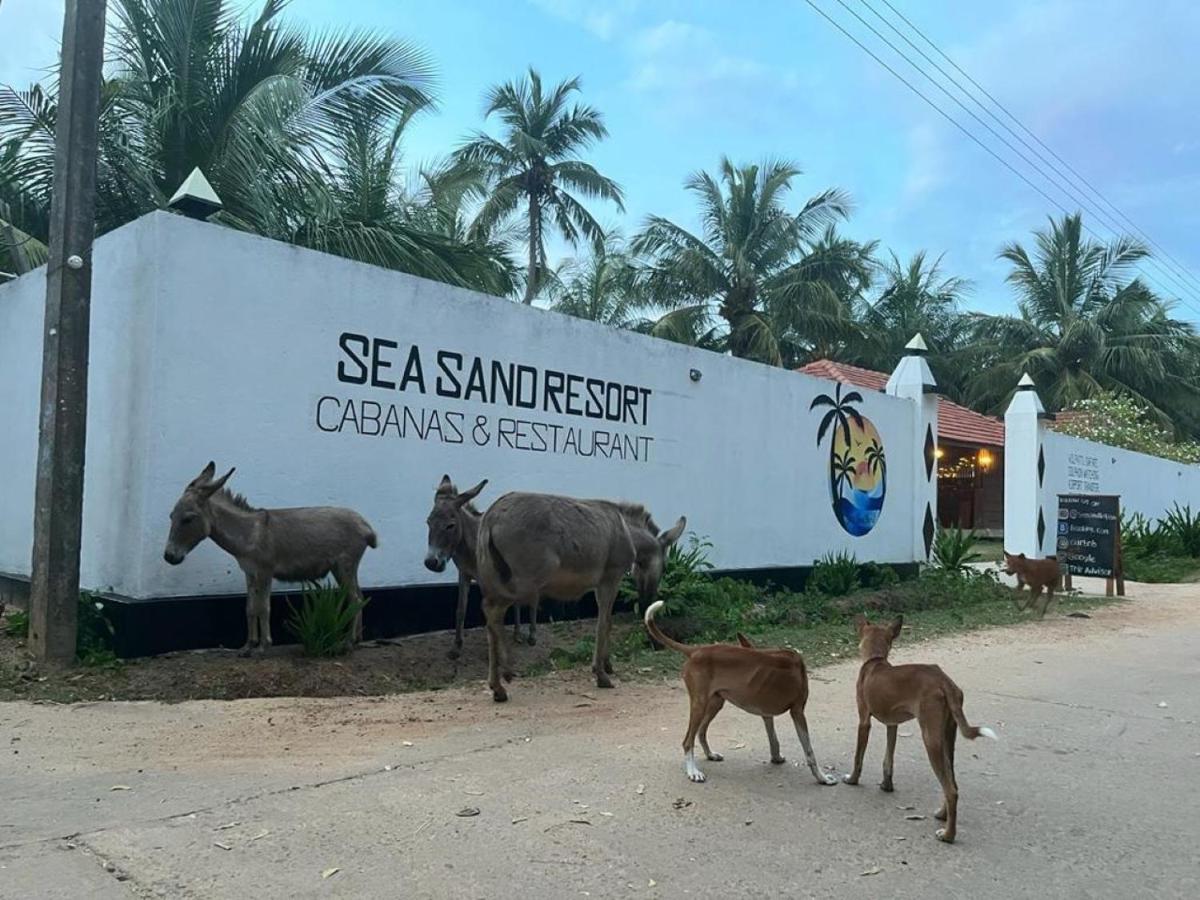 Sea Sand Resort Kalpitiya Exterior foto