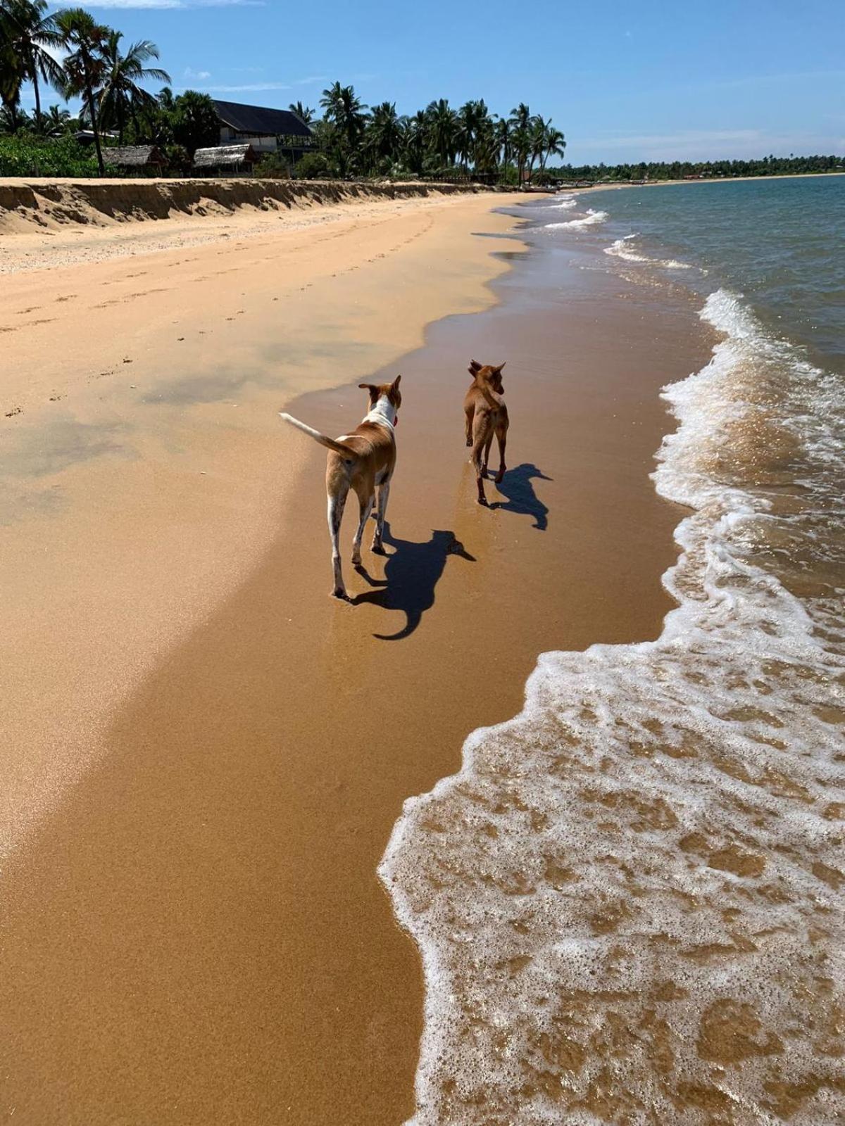 Sea Sand Resort Kalpitiya Exterior foto