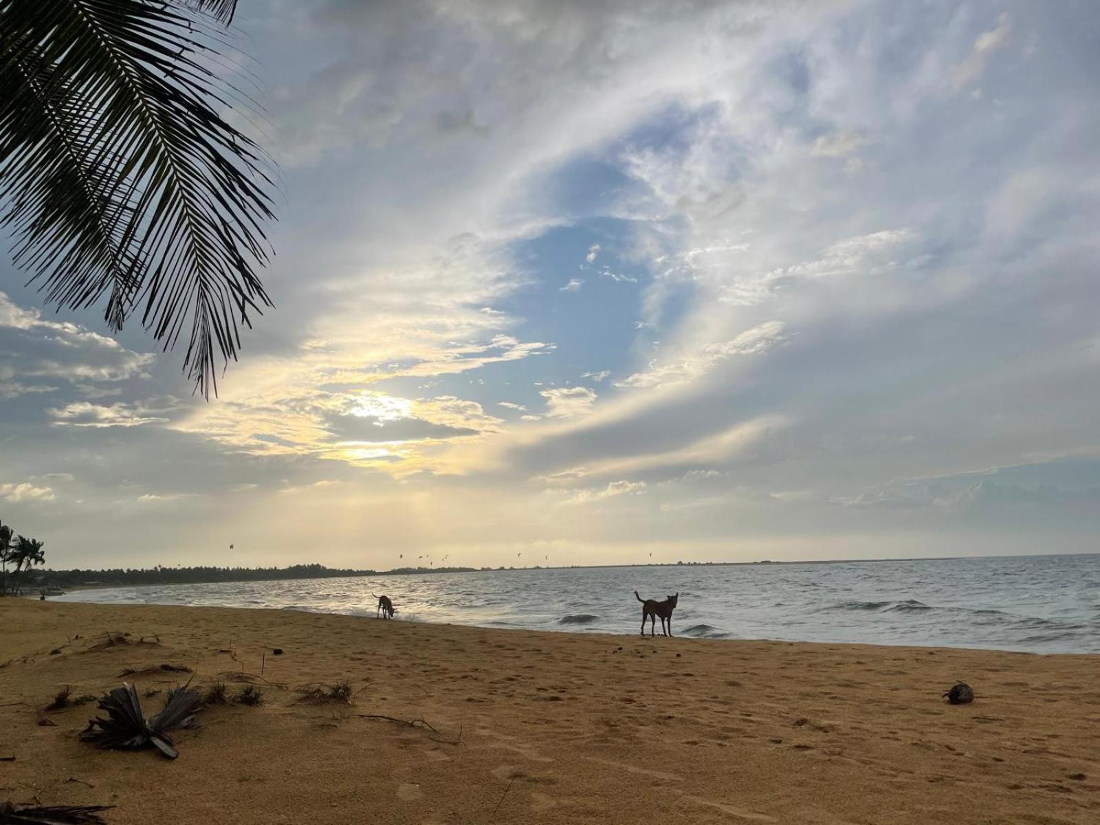 Sea Sand Resort Kalpitiya Exterior foto