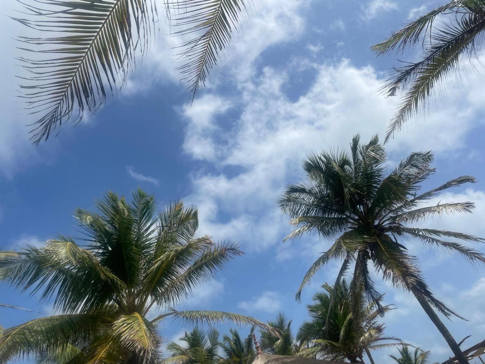 Sea Sand Resort Kalpitiya Exterior foto