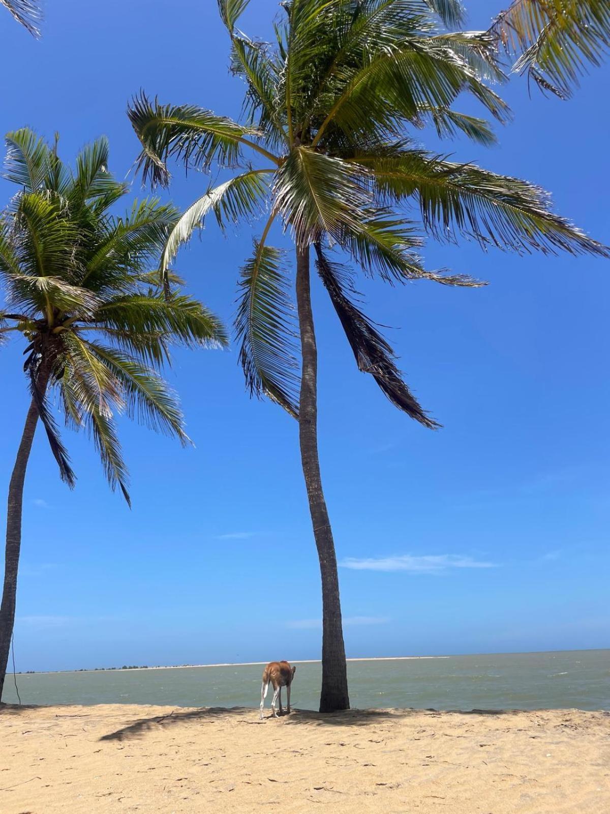 Sea Sand Resort Kalpitiya Exterior foto